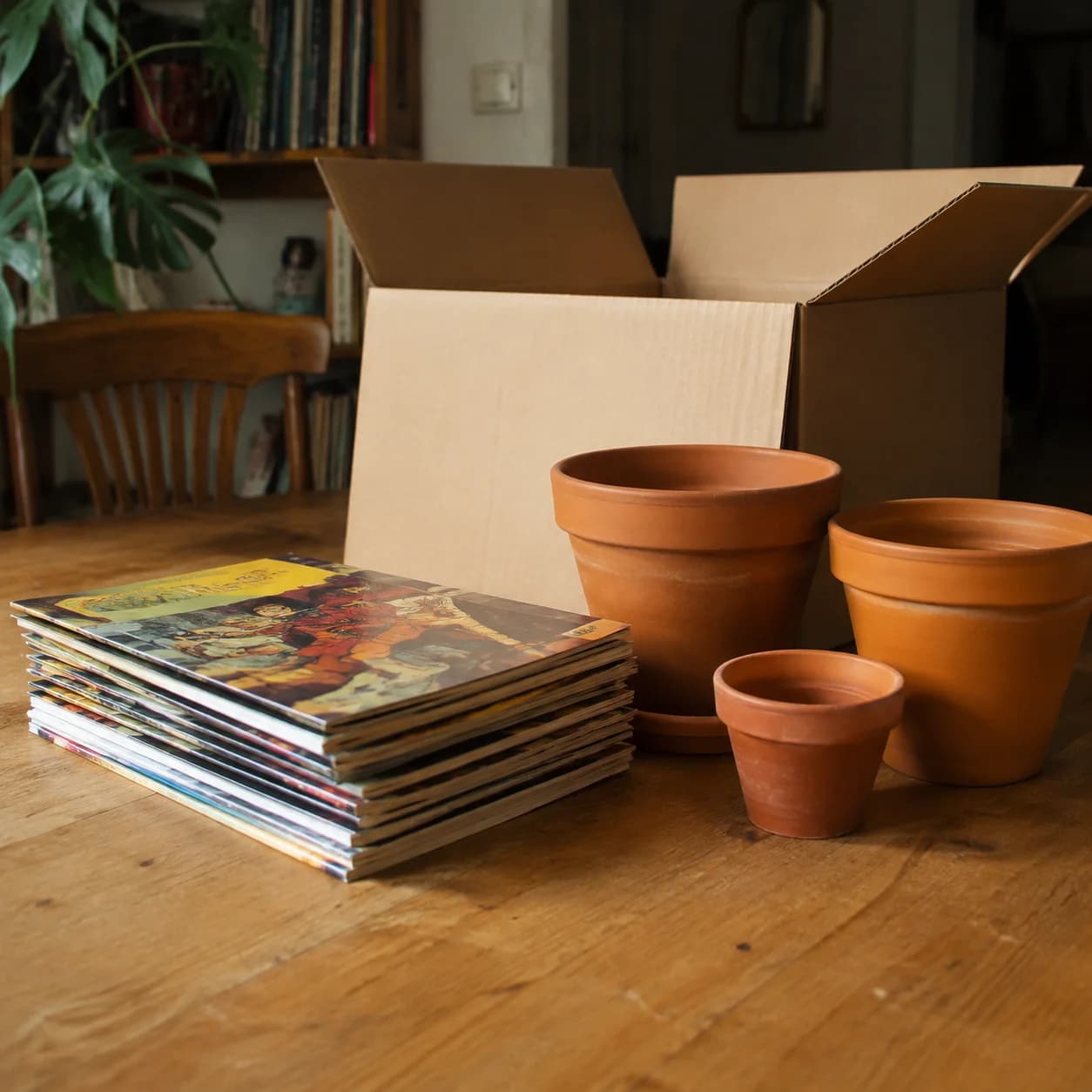Des pots en terre cuite et des bandes dessinées près d’un carton ouvert.